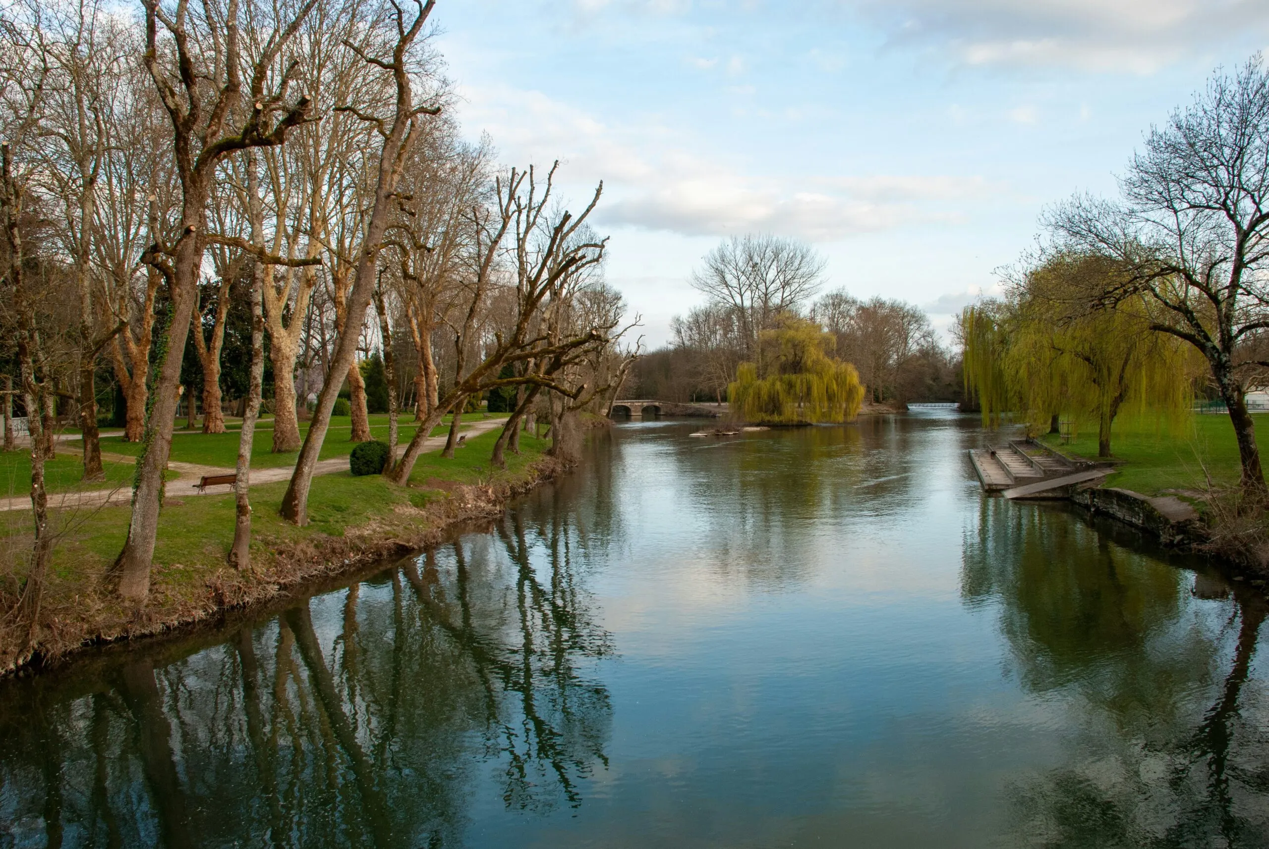 Paysage naturel avec rivière bordée d'arbres et saules pleureurs